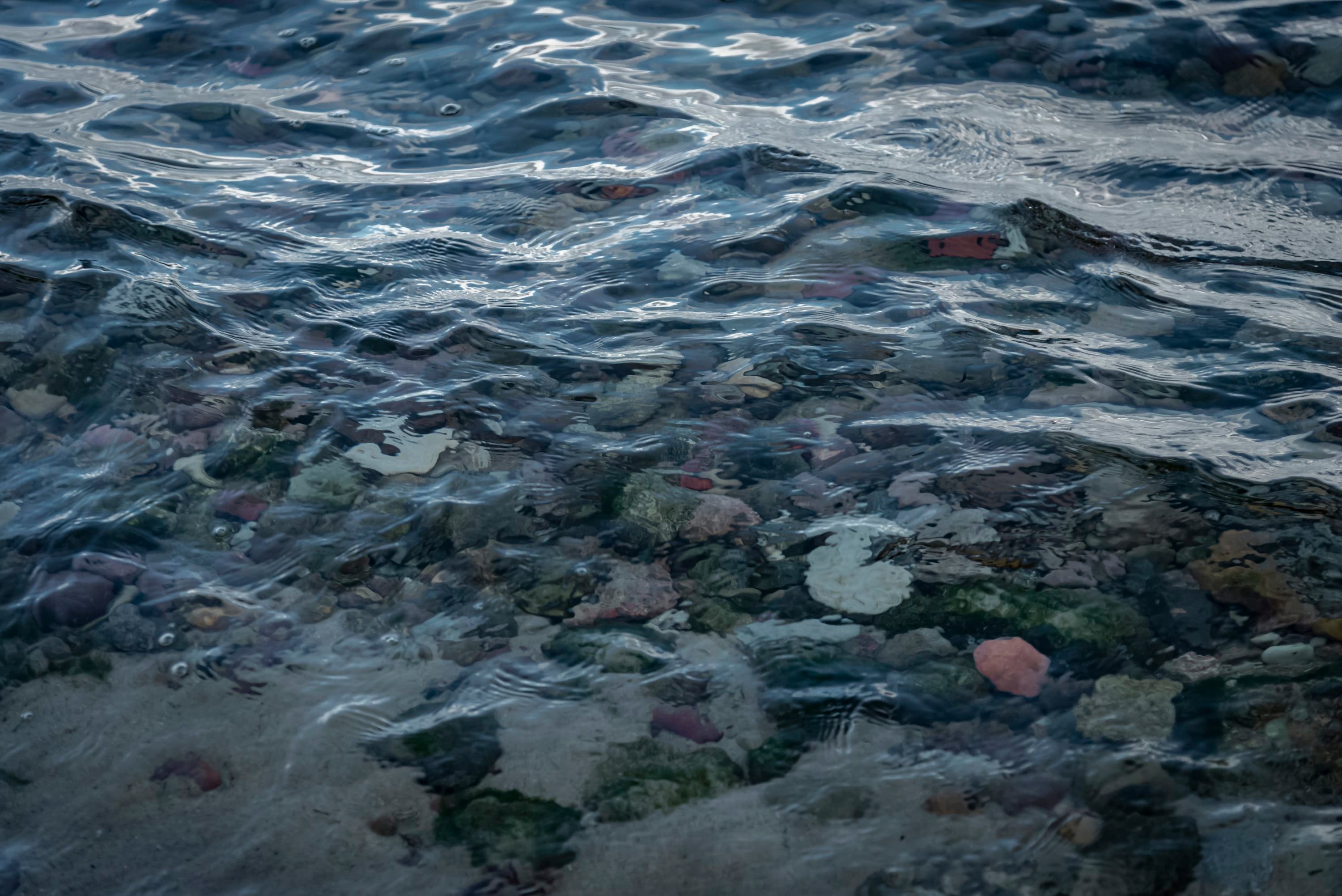 Cover image for Small Acts, Big Ripples: The Power of Everyday Giving