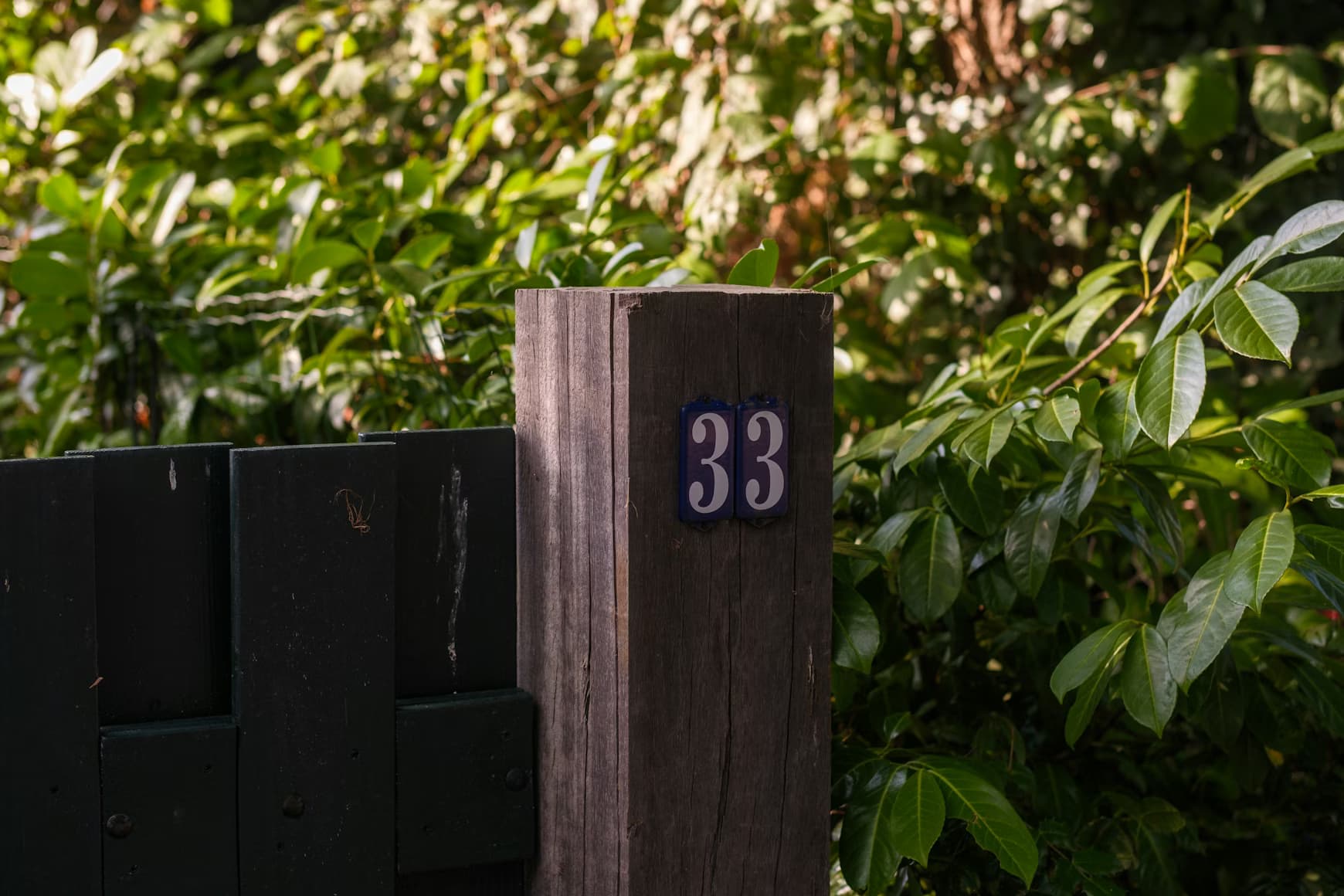 Cover image for What Is the 33% Rule for Nonprofits?